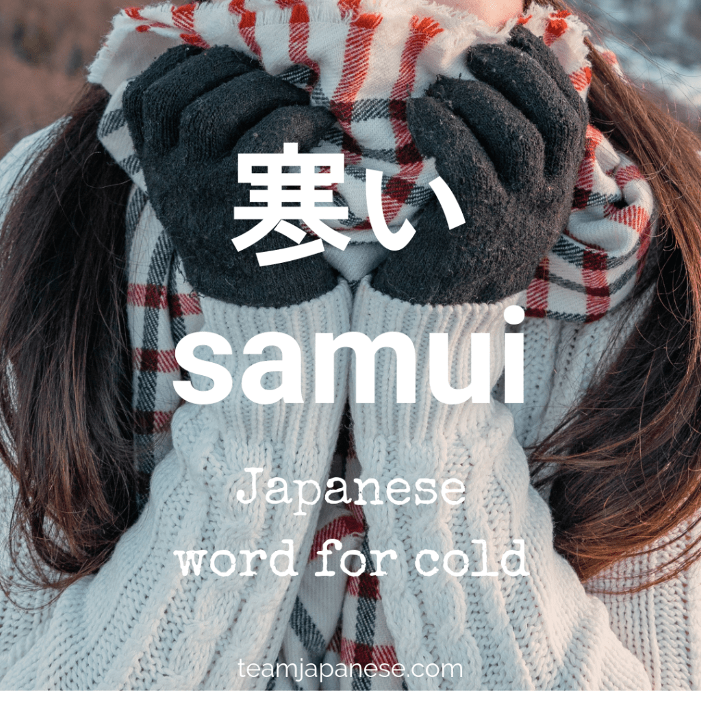 35 Awesome Japanese Winter Words You Need To Know Team Japanese