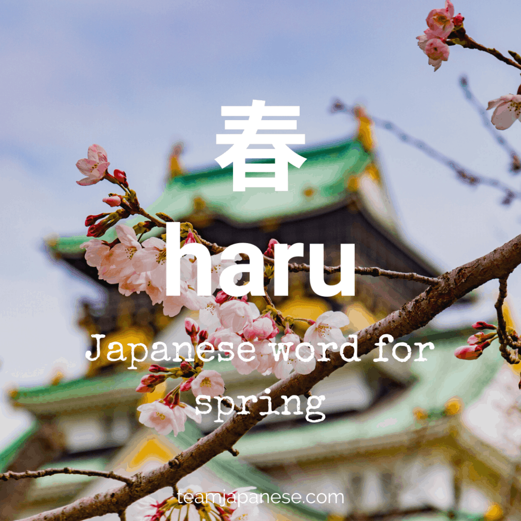 16+ Essential Japanese Words for Spring Team Japanese