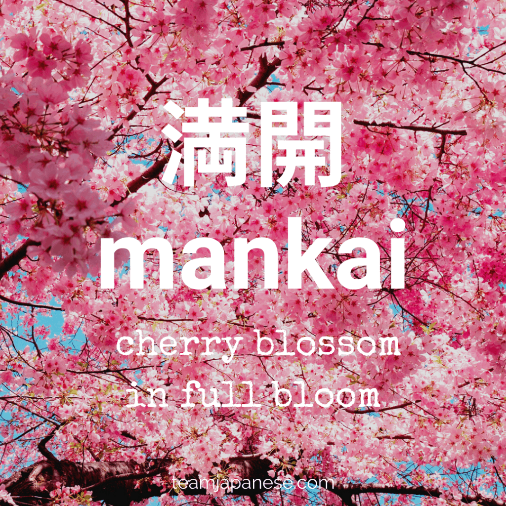 16+ Essential Japanese Words for Spring Team Japanese