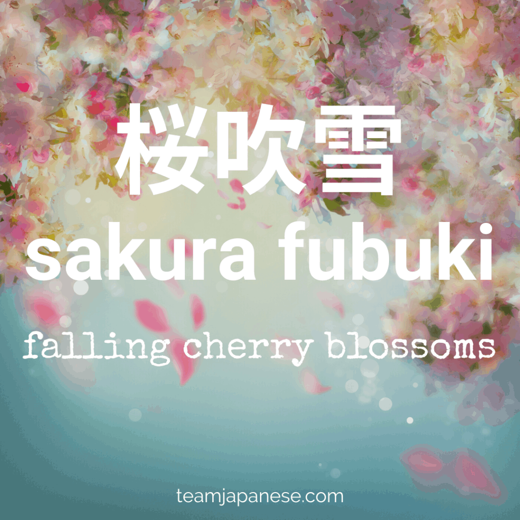 16+ Essential Japanese Words for Spring Team Japanese