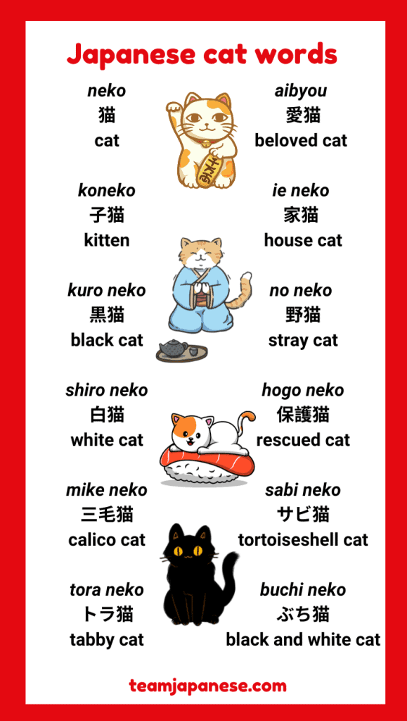 How to Say Cat in Japanese (+ More Cute Japanese Cat Words!) Team