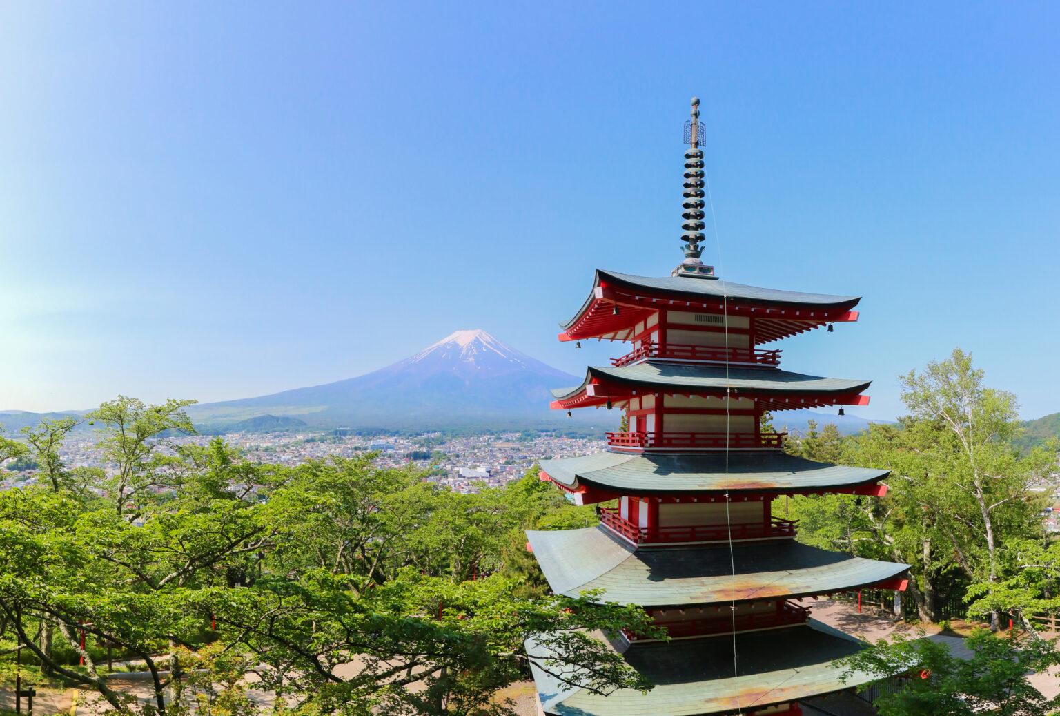 How to Say the Four Seasons in Japanese - Team Japanese