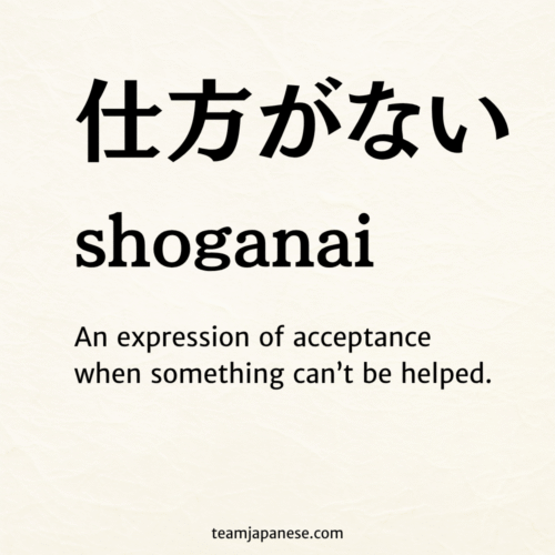 Text reads: "仕方がない shoganai. An expression of acceptance when something can't be helped—reflecting a core Japanese concept and life philosophy of mindfulness." Website: teamjapanese.com.