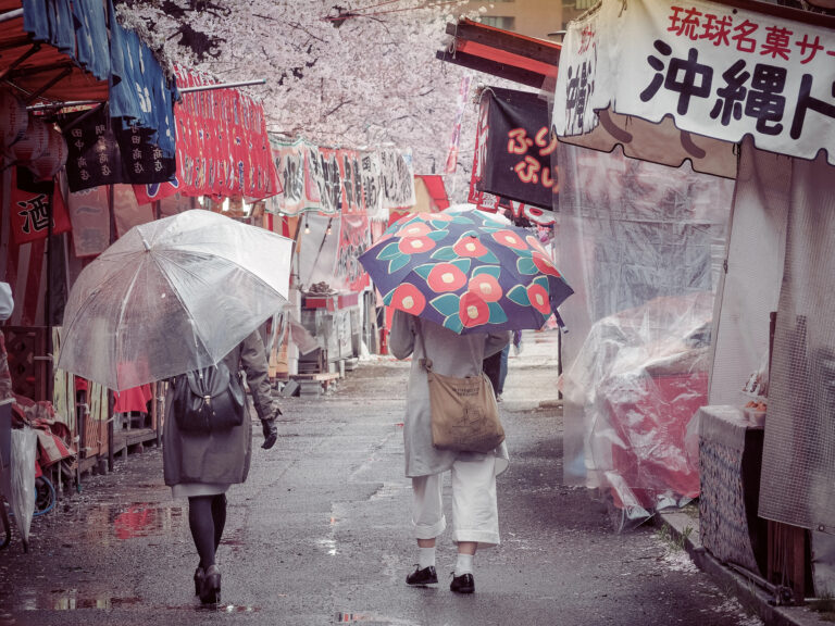 Two people holding umbrellas walk down a Japanese market street lined with colorful stalls and cherry blossom trees, enjoying the weather in Japanese spring.