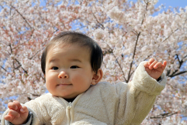 A baby (aka-chan in Japanese) wearing a cream-colored jacket is holding up one arm while standing outdoors in front of blooming cherry blossom trees.