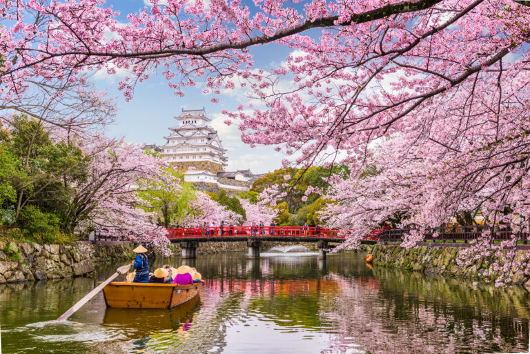 A wooden boat with passengers floats on a river lined with cherry blossoms during April in Japan, with a traditional Japanese castle (Himeji) and a red bridge in the background.