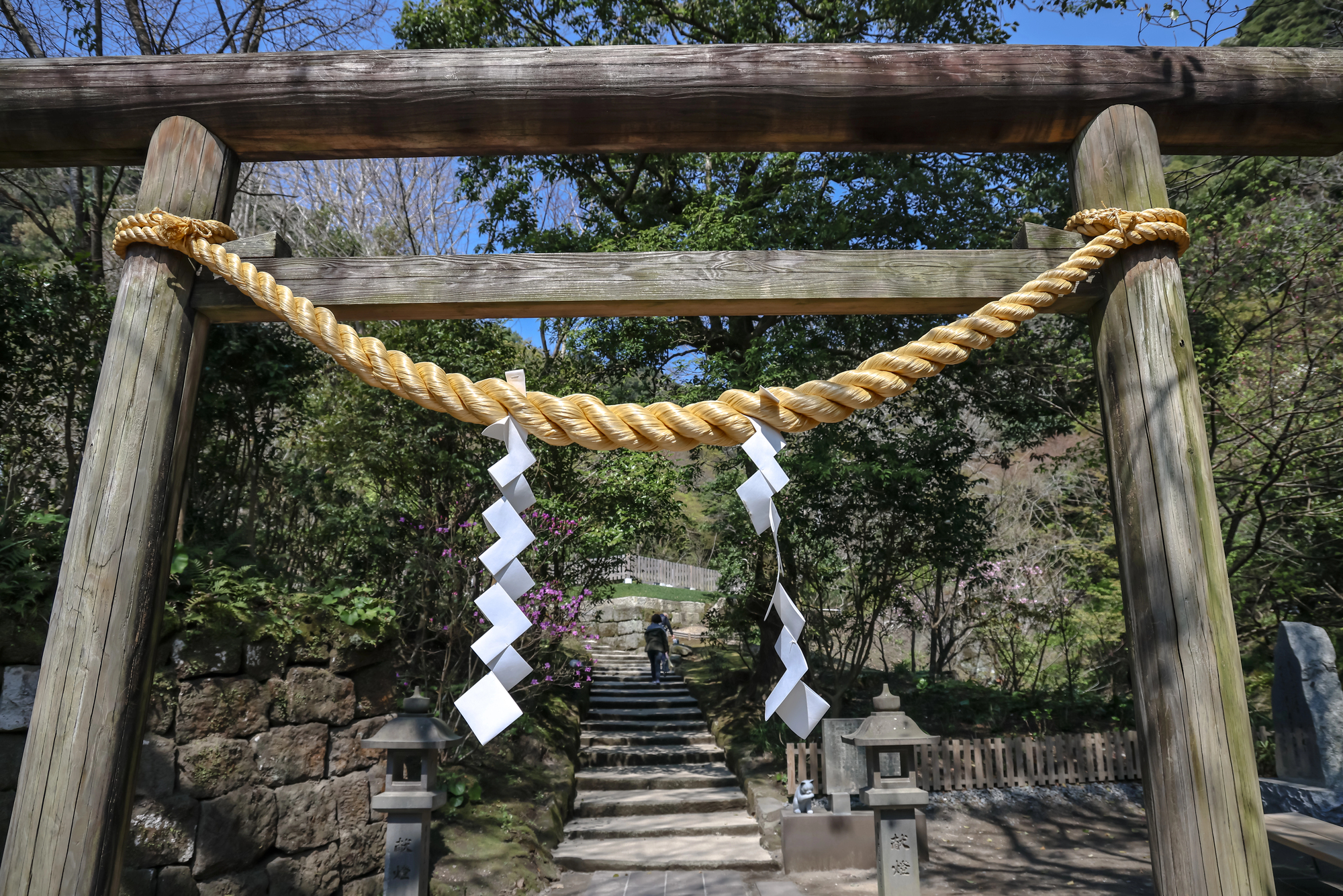 A wooden torii gate with a shimenawa rope and paper shide strips marks the entrance to a stone stairway leading to a Japanese shrine.