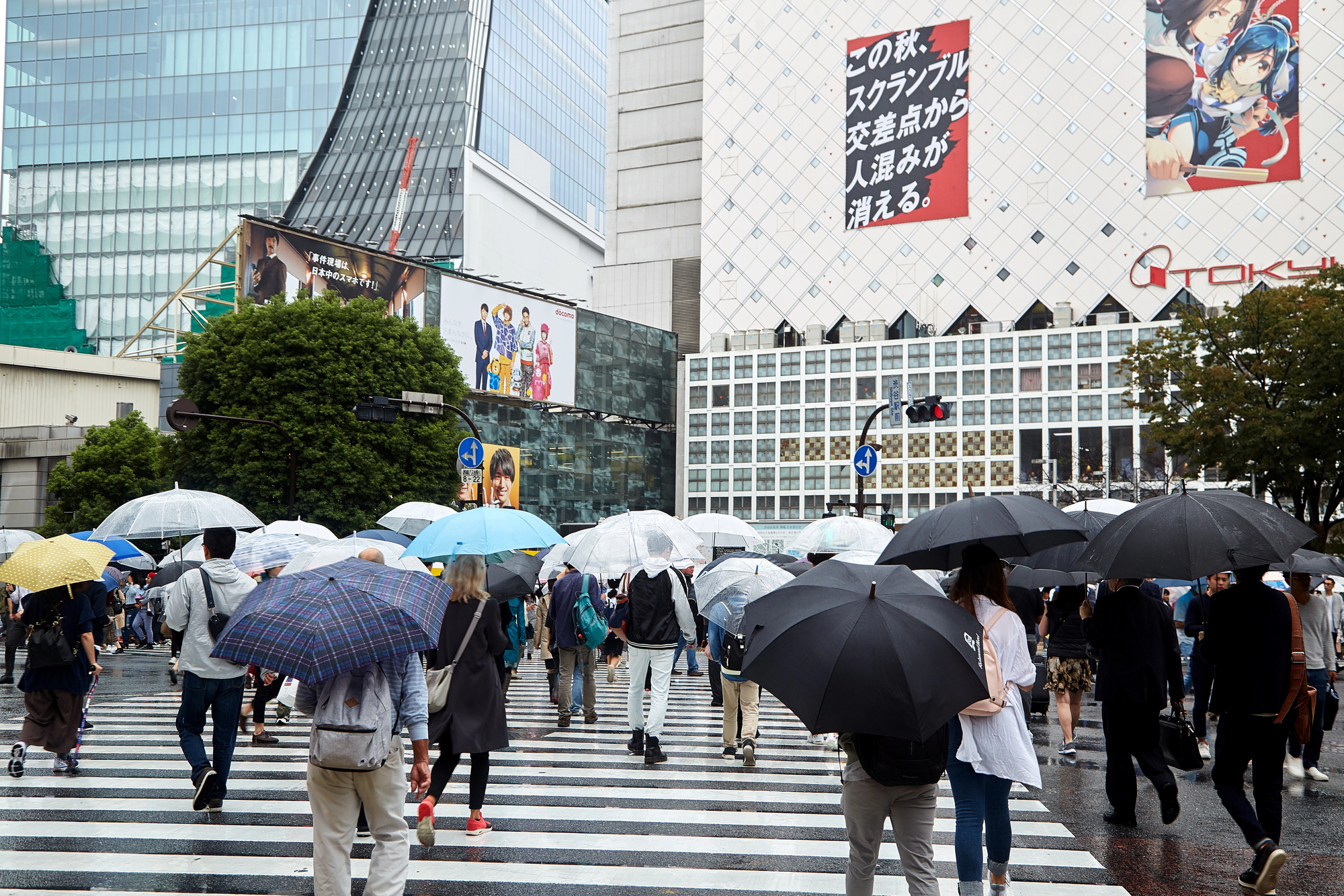 Crowd of people with umbrellas crossing a Tokyo street on a rainy June in Japan, with tall buildings, billboards, and trees in the background.