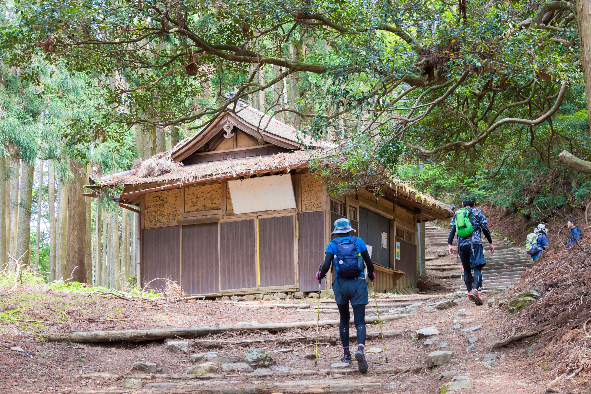 Kyoto, Japan - Jun 01 2019 - Approach to Atago Shrine on Mt. Ata Three hikers with backpacks and trekking poles walk past a rustic wooden cabin on a forest trail surrounded by tall trees on a mountain in Japan.