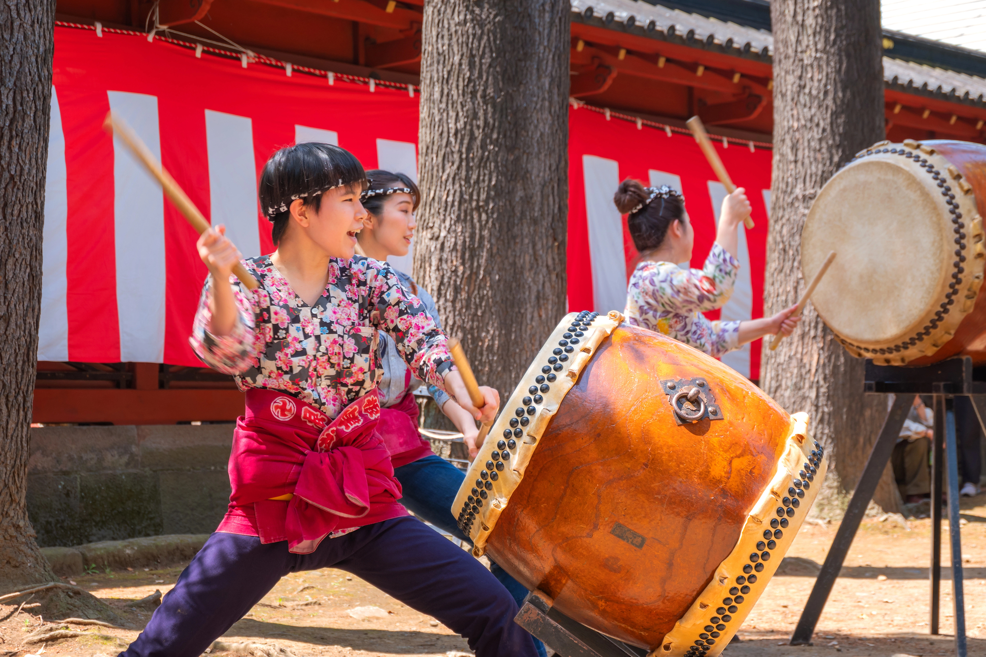 japanese summer festival drumming Three people wearing patterned shirts play large traditional Japanese taiko drums outdoors, celebrating Japanese Summer Festival traditions with a red and white striped banner and trees in the background.
