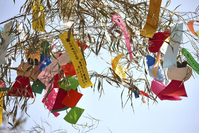 Colorful paper wishes and decorations hang from bamboo branches during the tanabata festival in July in Japan, with handwritten messages visible on some of the papers against a clear sky.