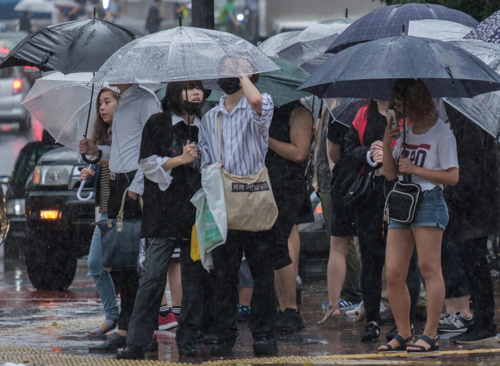 A group of people standing at a crosswalk under umbrellas in heavy rain, waiting to cross the street on a typical September day in Japan, when the country experiences typhoon season.