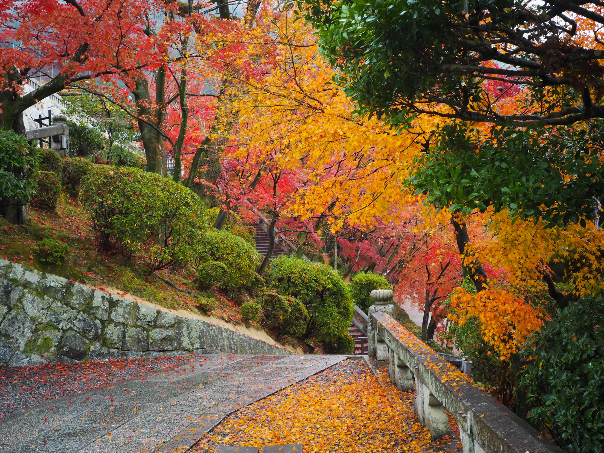 A stone path curves through a formal garden with trees displaying vivid red and orange autumn leaves, scattered leaves covering the ground.